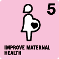 Icon 5: Improve Maternal Health