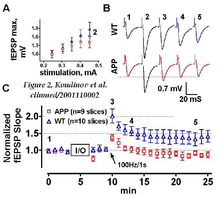 Figure 2: Electrophysiological analysis of aged (25.5 months) APP transgenic mice